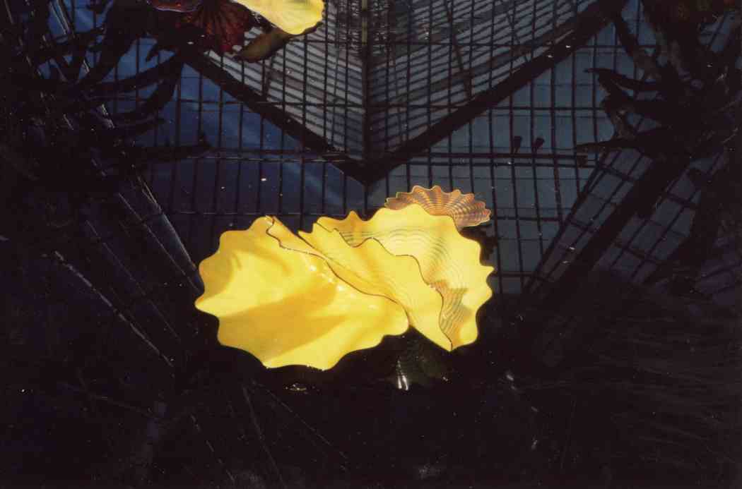 Chihuly at Phipps: Gardens and Glass Chihuly at Phipps: Gardens and Glass