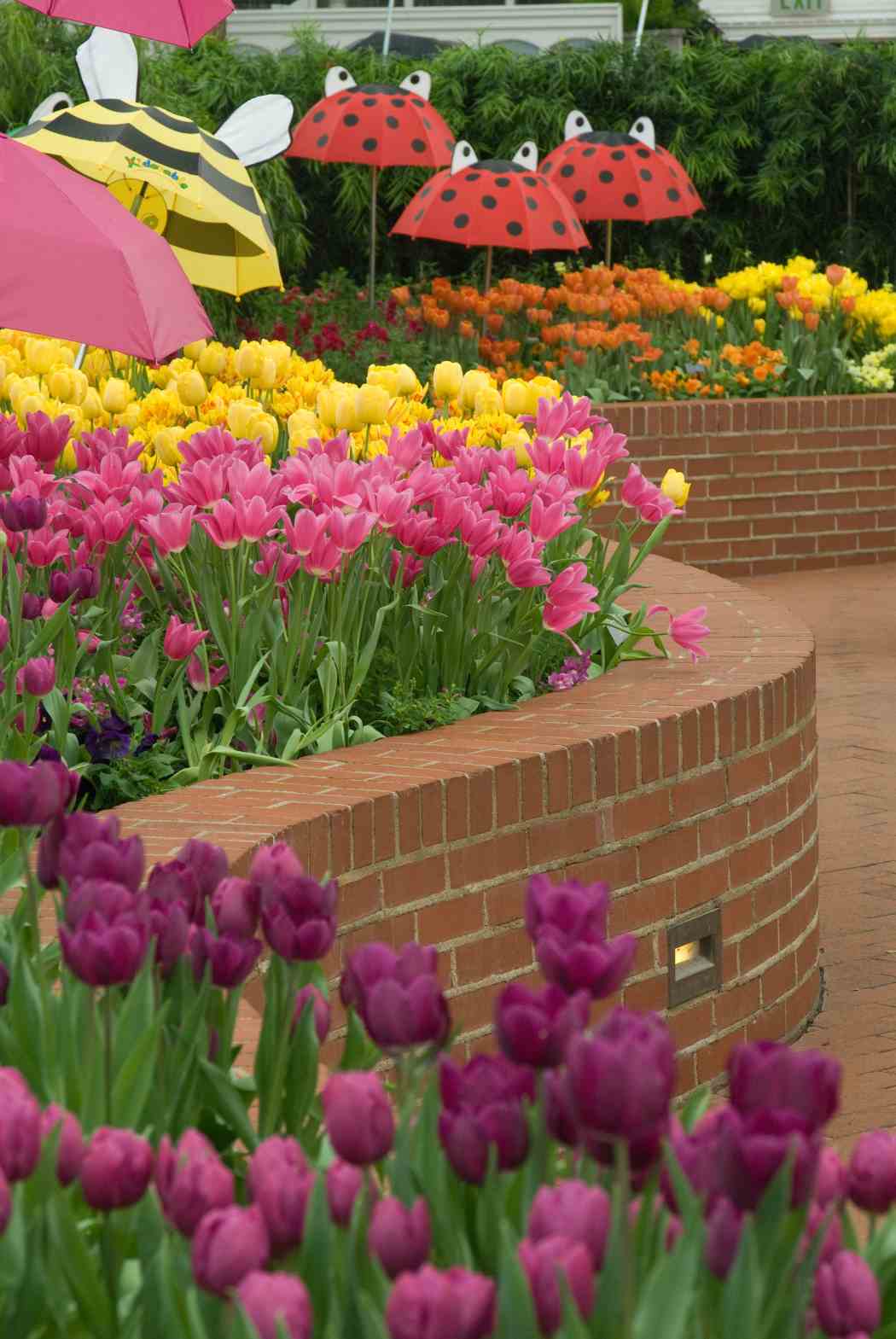 Spring Flower Show 2007: Proverbs in Bloom