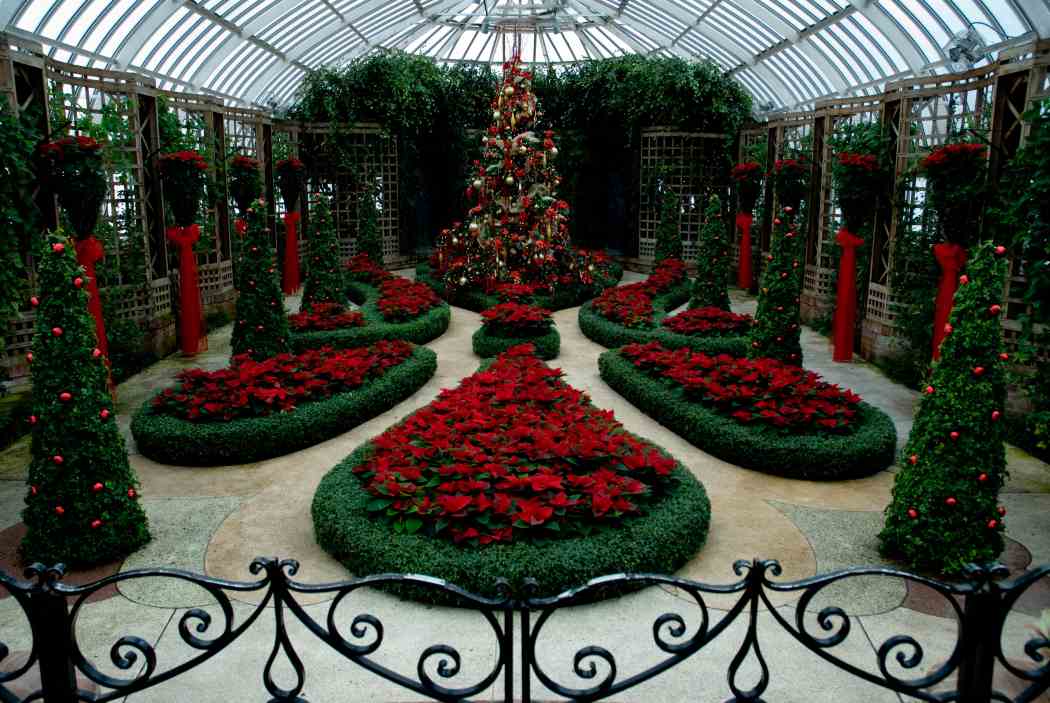 Chihuly at Phipps: Gardens and Glass Chihuly at Phipps: Gardens and Glass