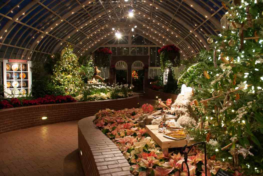 Winter Flower Show 2008: Holiday Celebration