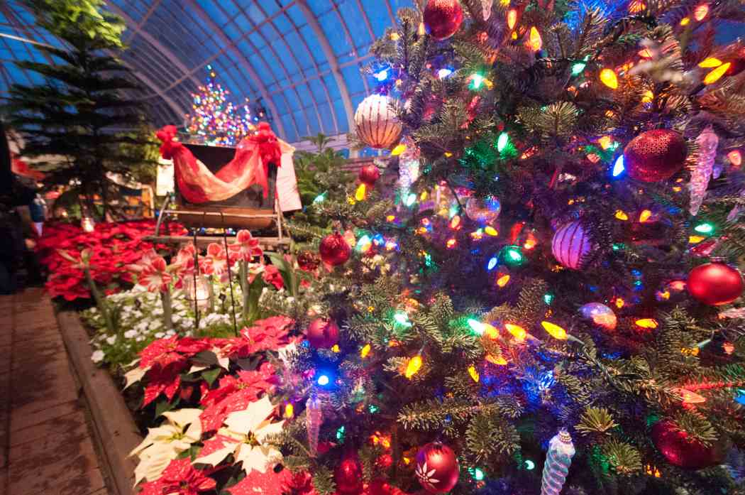 Winter Flower Show 2011: The Nutcracker — A Fresh Arrangement