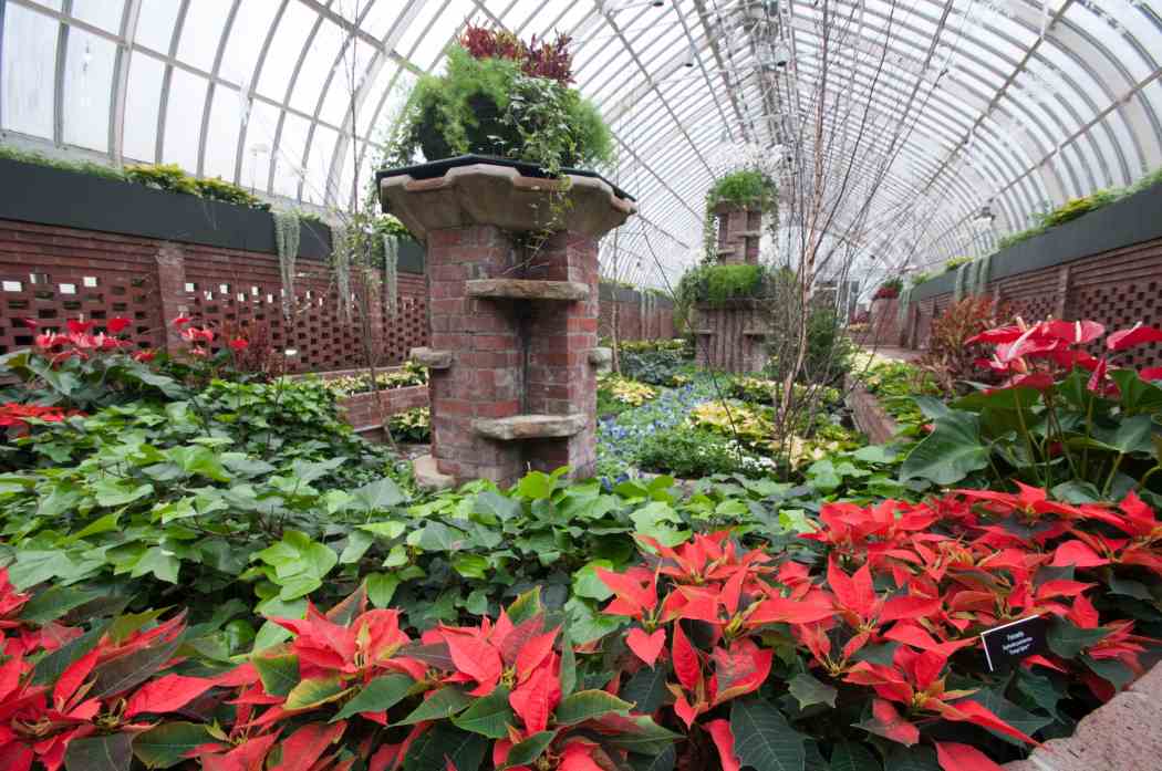 Winter Flower Show 2011: The Nutcracker — A Fresh Arrangement