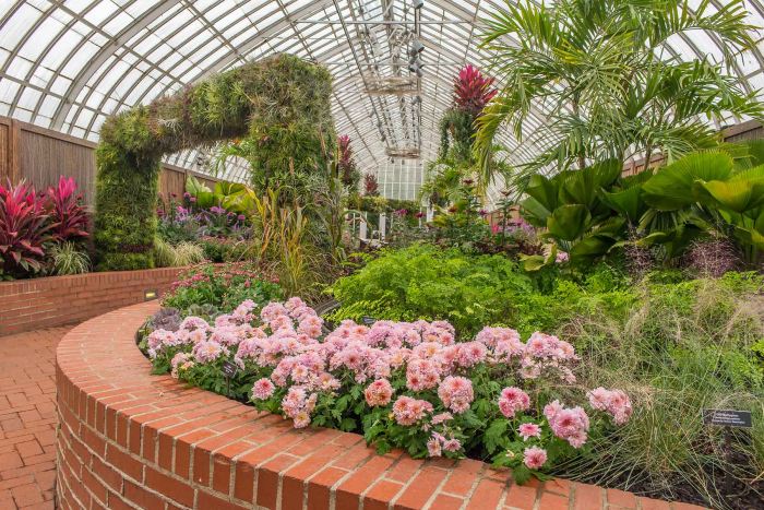 Fall Flower Show 2014 | Phipps Conservatory and Botanical 