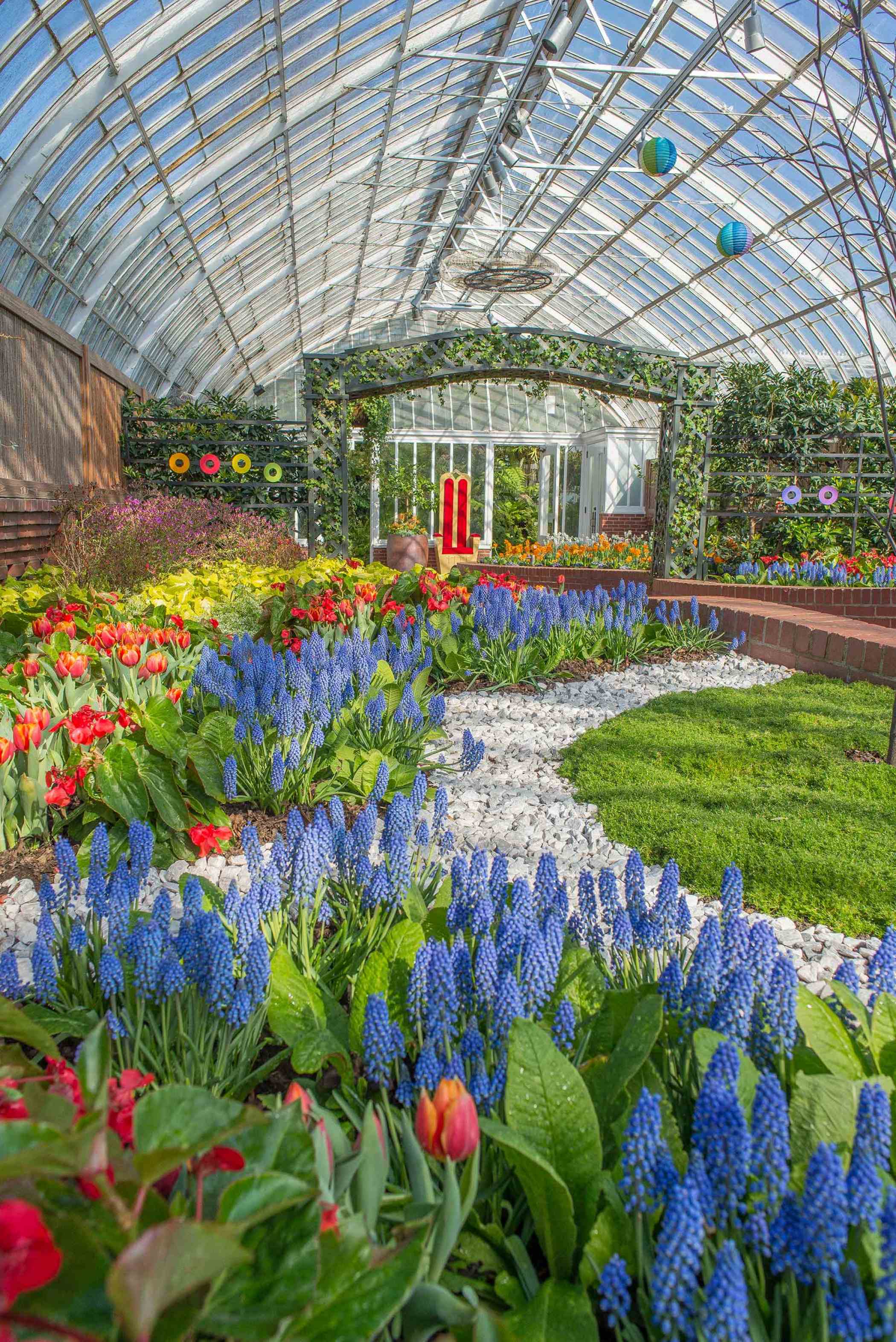 Spring Flower Show 2014: Rhythm and Bulbs | Phipps Conservatory and