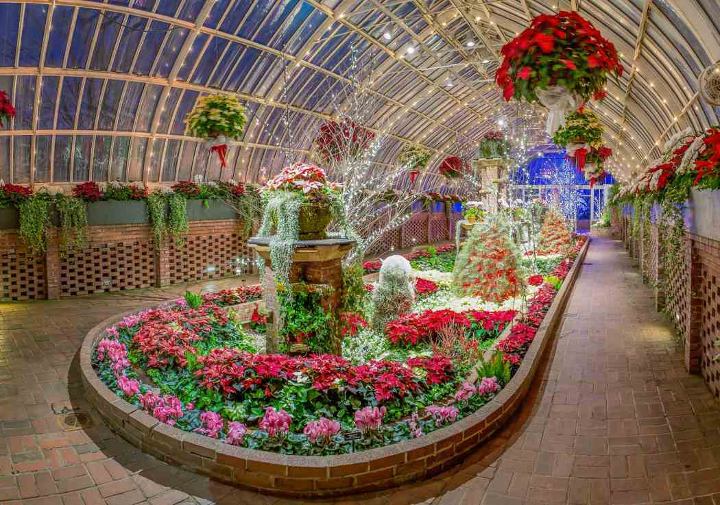 Winter Flower Show and Light Garden 2014: Winter Wonderland