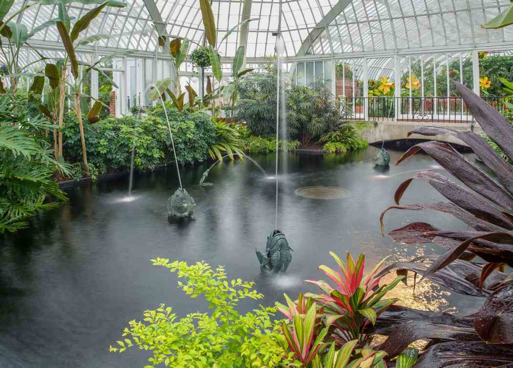 Spring Flower Show 2015: April Showers Bring May Flowers