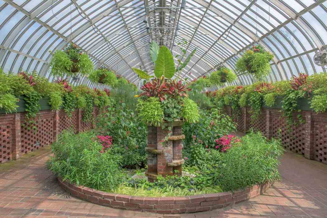 Summer Flower Show 2015: Weird and Wonderful Summer Flower Show 2015: Weird and Wonderful