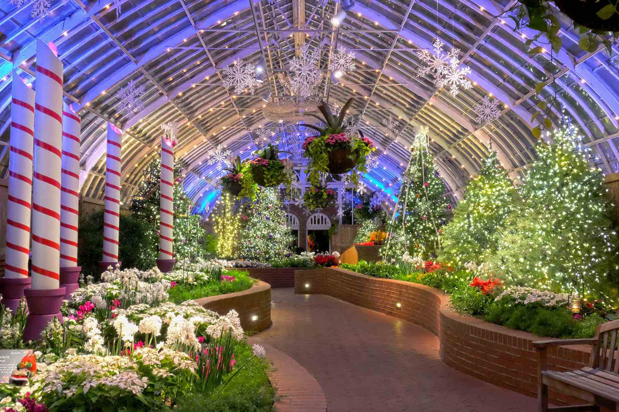 Winter Flower Show and Light Garden 2015: Deck the Halls | Phipps