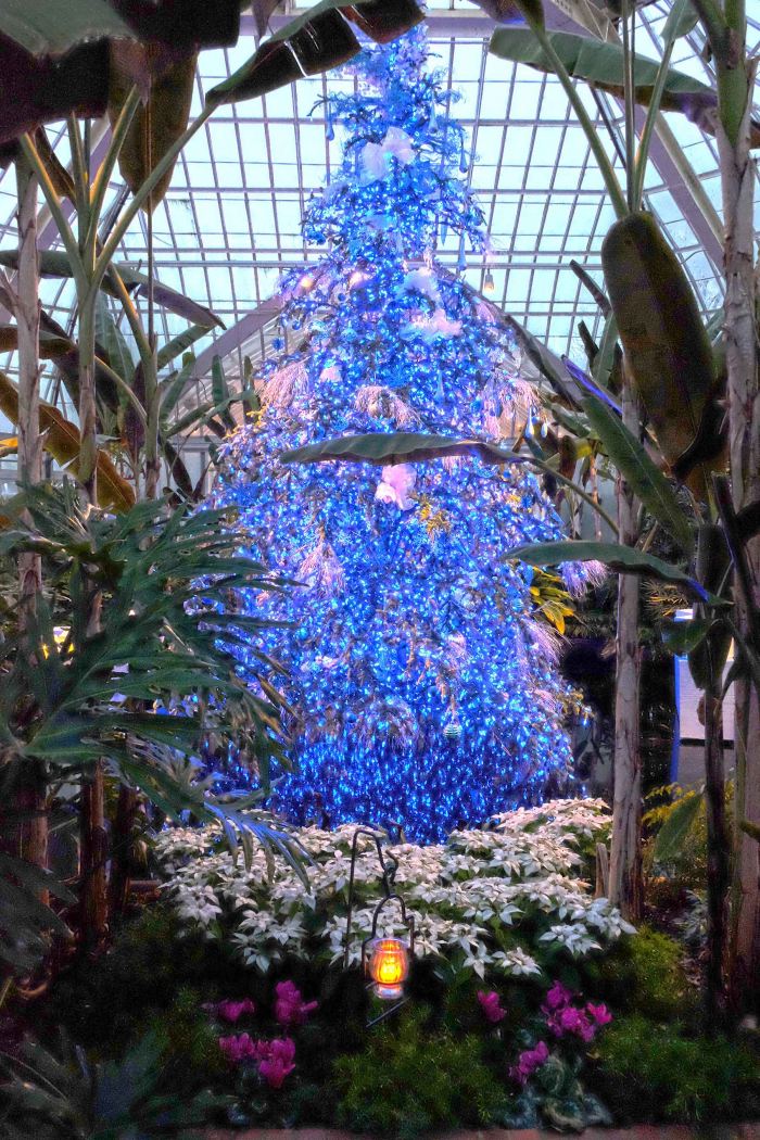 Winter Flower Show and Light Garden 2015: Deck the Halls ...