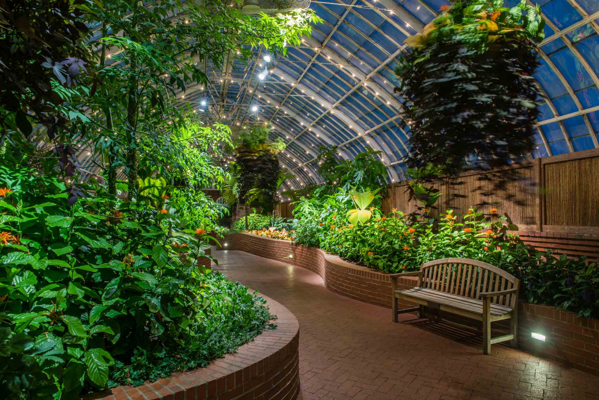 Summer Flower Show 2015 Weird and Wonderful Phipps Conservatory and