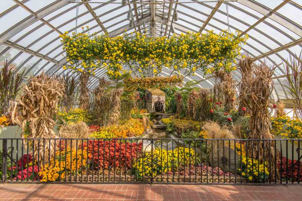 Fall Flower Show 2016: Bask in Nature’s Bounty