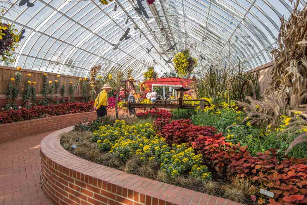 Fall Flower Show 2016: Bask in Nature’s Bounty