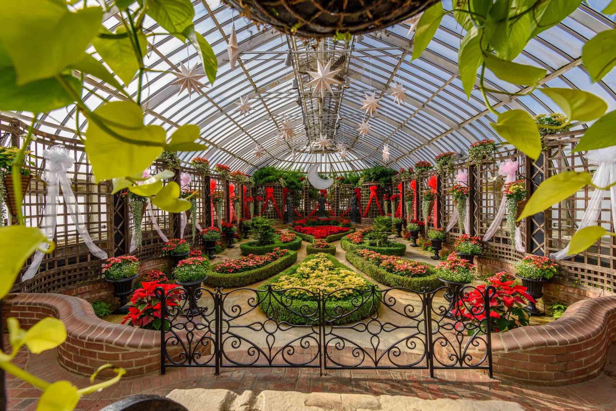 Winter Flower Show and Light Garden 2016: Days of Snow and Nights Aglow