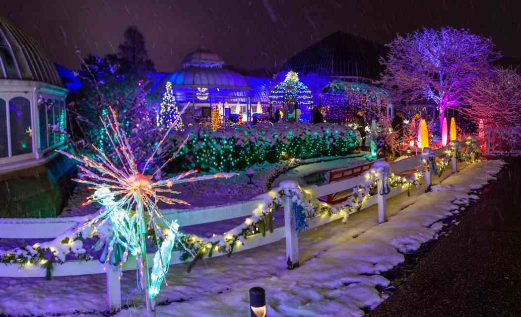 Winter Flower Show and Light Garden 2016: Days of Snow and Nights Aglow