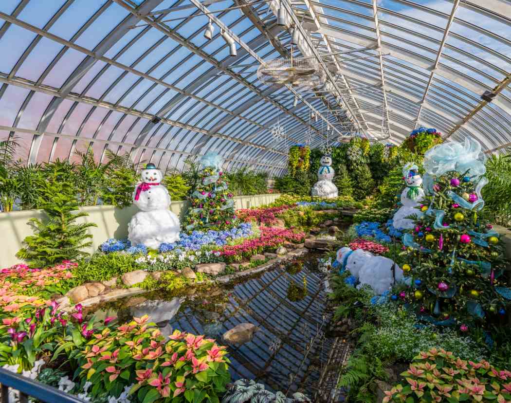 Winter Flower Show and Light Garden 2016: Days of Snow and Nights Aglow