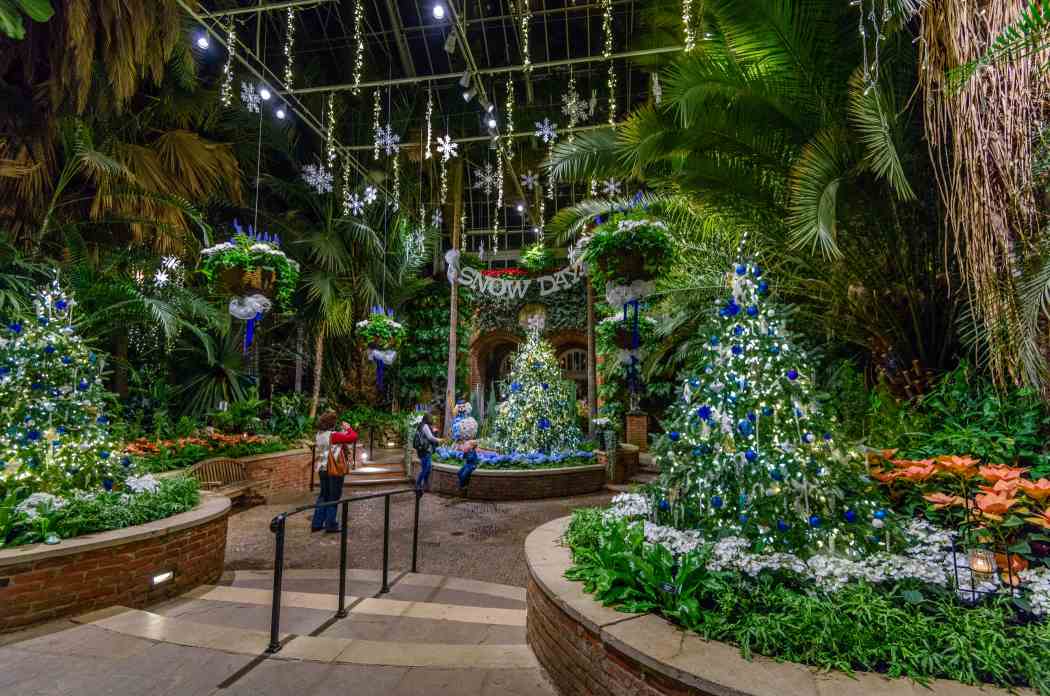 Winter Flower Show and Light Garden 2016: Days of Snow and Nights Aglow