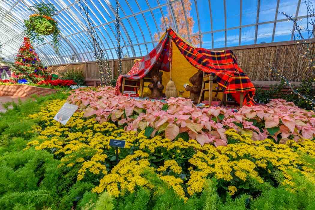 Winter Flower Show and Light Garden 2016: Days of Snow and Nights Aglow