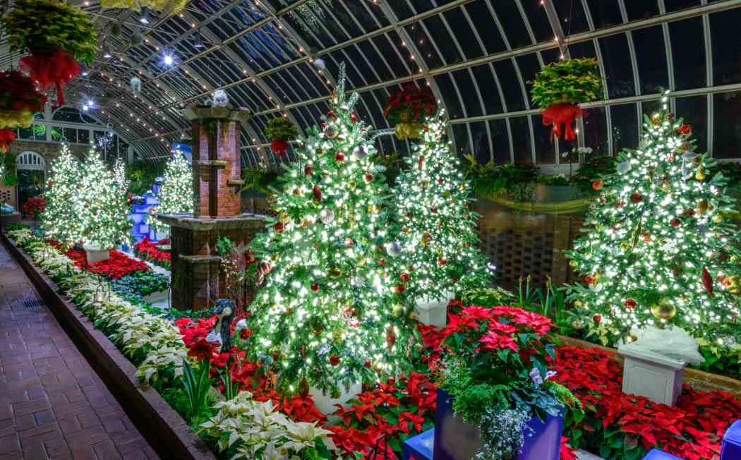 Winter Flower Show and Light Garden 2016: Days of Snow and Nights Aglow