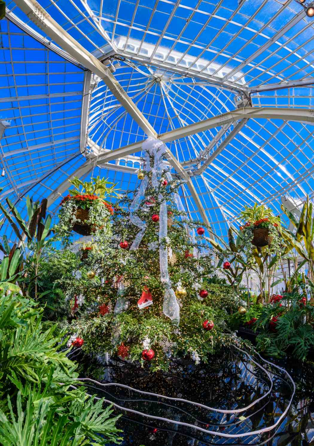 Winter Flower Show and Light Garden 2016: Days of Snow and Nights Aglow