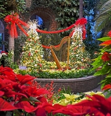 Holiday Magic: Let It Glow! Holiday Magic: Let It Glow!
