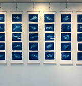 From the Same Bulb: 2005 – 2022, an Exhibit by Sue Abramson From the Same Bulb: 2005 – 2022, an Exhibit by Sue Abramson