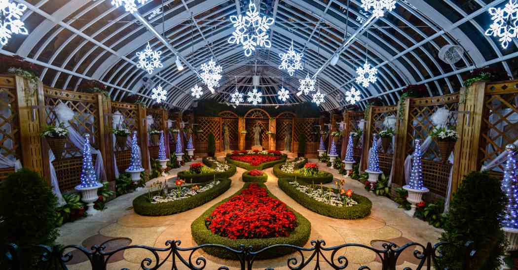 Winter Flower Show and Light Garden 2022: Holiday Magic! Arctic Adventure Winter Flower Show and Light Garden 2022: Holiday Magic! Arctic Adventure