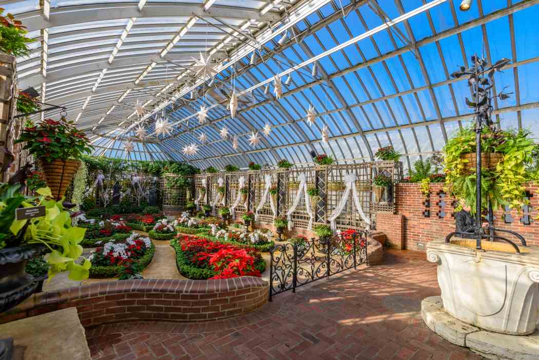 Winter Flower Show and Light Garden 2017: Holiday Magic! Winter Flower Show and Light Garden 2017: Holiday Magic!