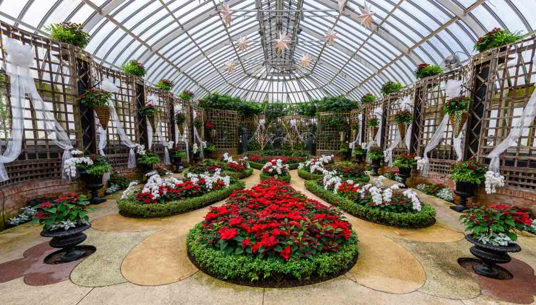 Winter Flower Show and Light Garden 2017: Holiday Magic! Winter Flower Show and Light Garden 2017: Holiday Magic!