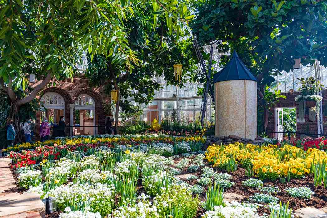 Spring Flower Show 2021: Canopy of Color