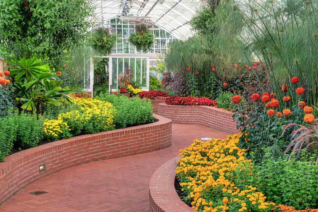Fall Flower Show 2020: The Poetry of Nature