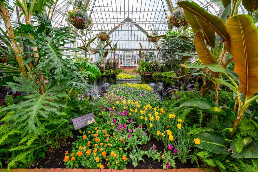 Spring Flower Show 2025: A Bloom for Every Room