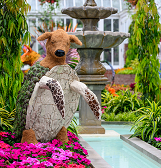 Fall Flower Show: Alice’s Adventures in Autumn