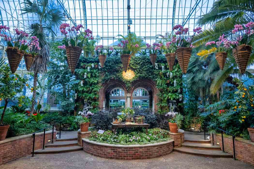 Orchid and Tropical Bonsai Show 2023: Origin Stories