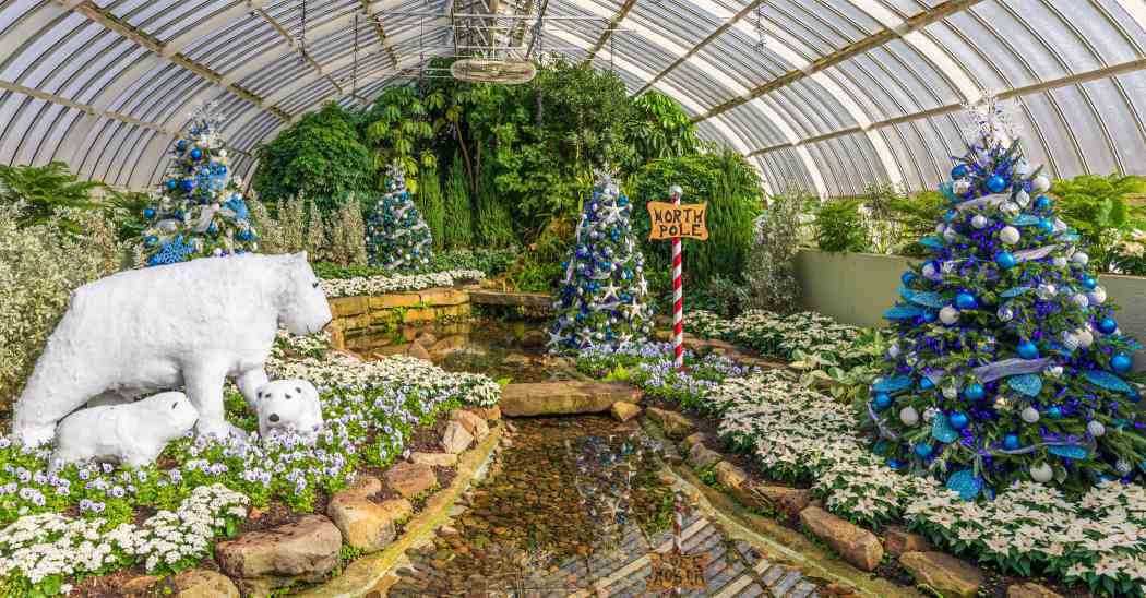 Winter Flower Show and Light Garden 2022: Holiday Magic! Arctic Adventure