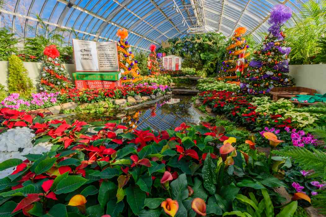 Winter Flower Show and Light Garden 2017: Holiday Magic! Winter Flower Show and Light Garden 2017: Holiday Magic!