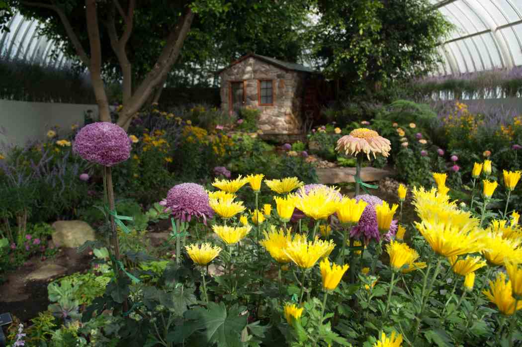 Fall Flower Show 2005: An Autumn Mosaic