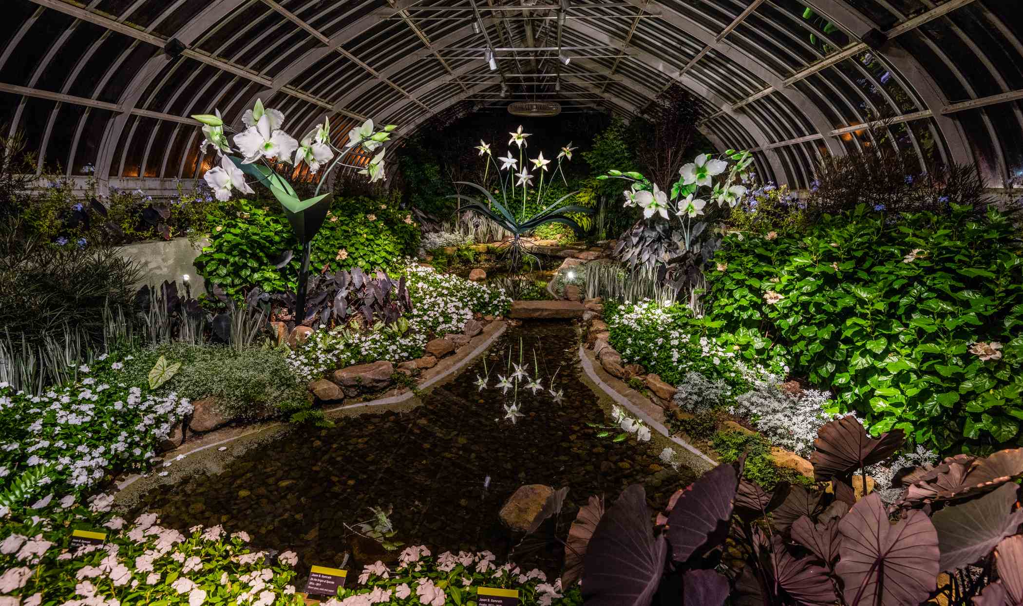 SUPER. NATURAL. Glass Art by Jason Gamrath | Phipps Conservatory