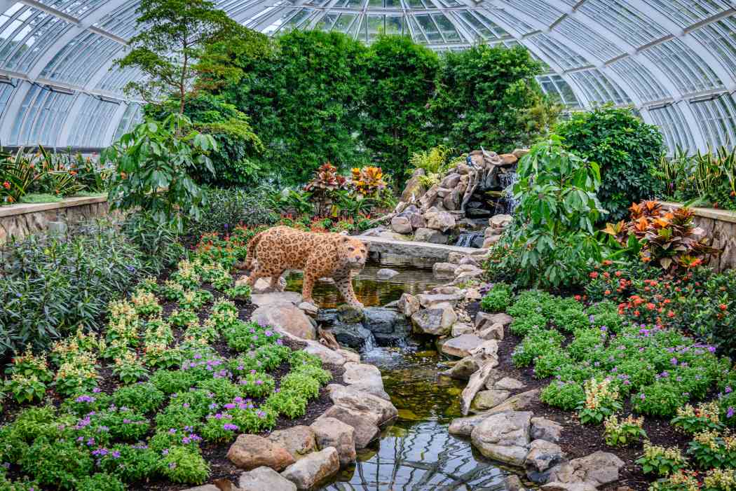 Summer Flower Show 2025: Jungle Quest