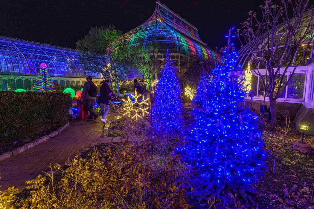 Winter Flower Show and Light Garden 2019: Holiday Magic! Festival of Trees