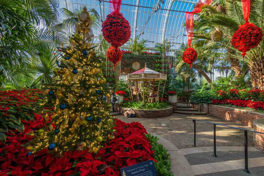 Winter Flower Show and Light Garden 2019: Holiday Magic! Festival of Trees