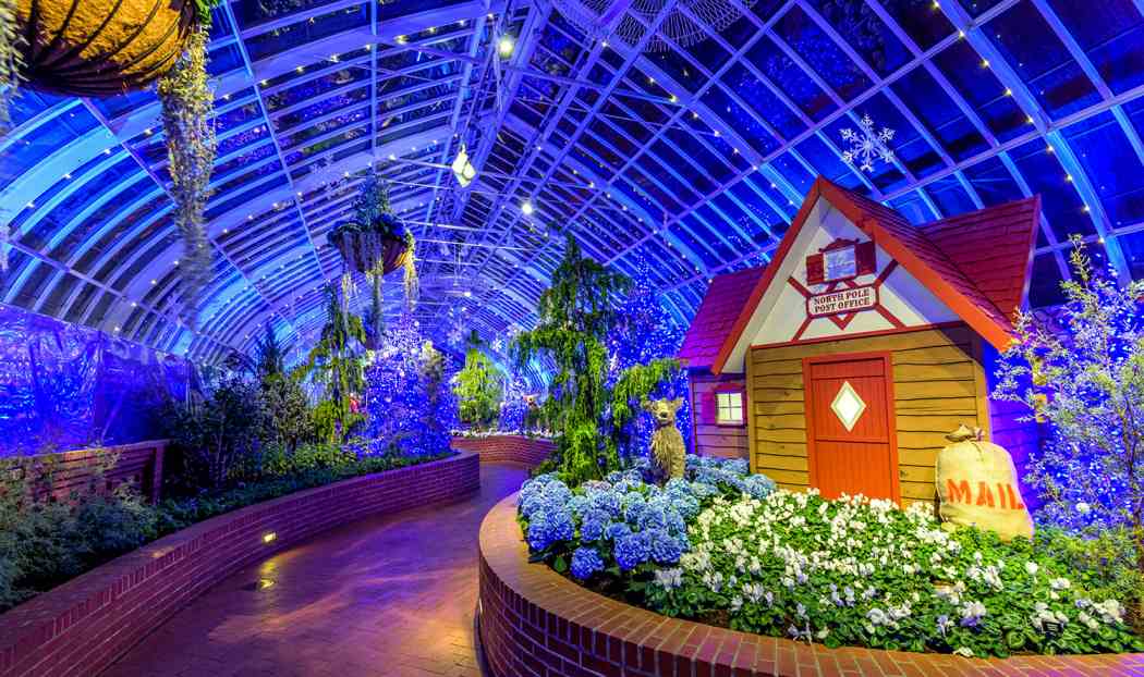 Winter Flower Show and Light Garden 2019: Holiday Magic! Festival of Trees