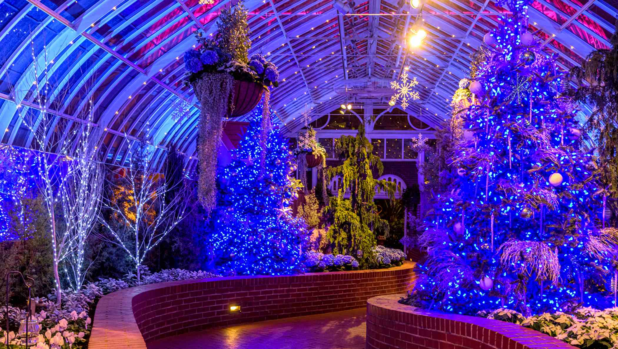 Winter Flower Show and Light Garden 2019 Holiday Magic! Festival of