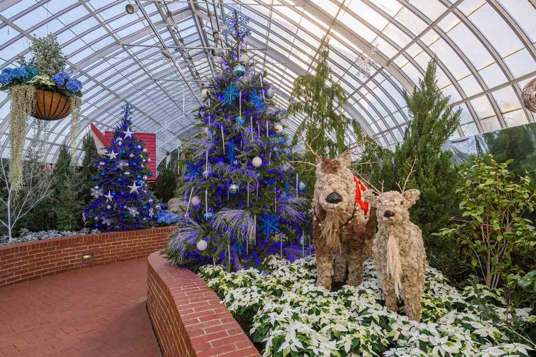 Winter Flower Show and Light Garden 2019: Holiday Magic! Festival of Trees