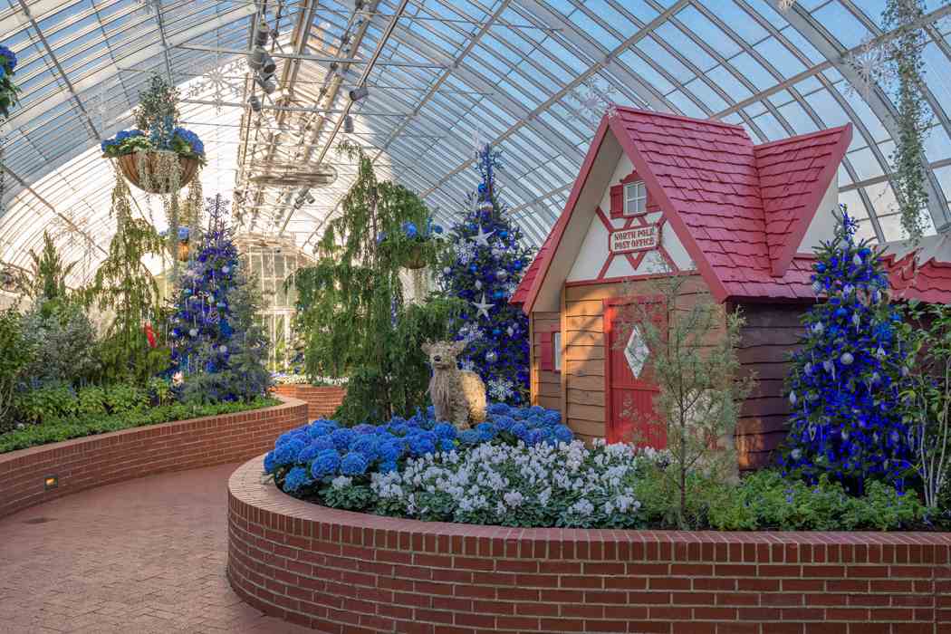 Winter Flower Show and Light Garden 2019: Holiday Magic