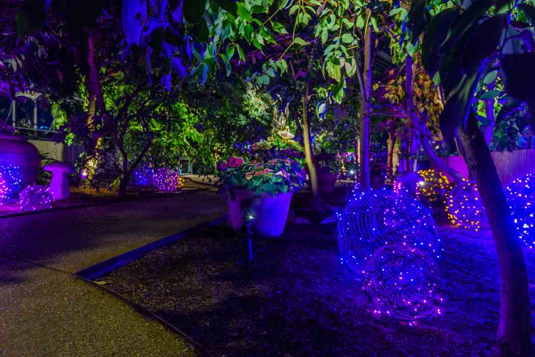 Winter Flower Show and Light Garden 2017: Holiday Magic!