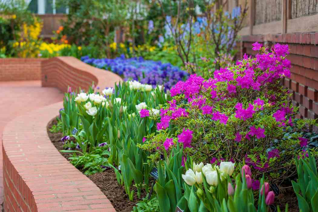 Spring Flower Show 2019: Gardens of the Rainbow