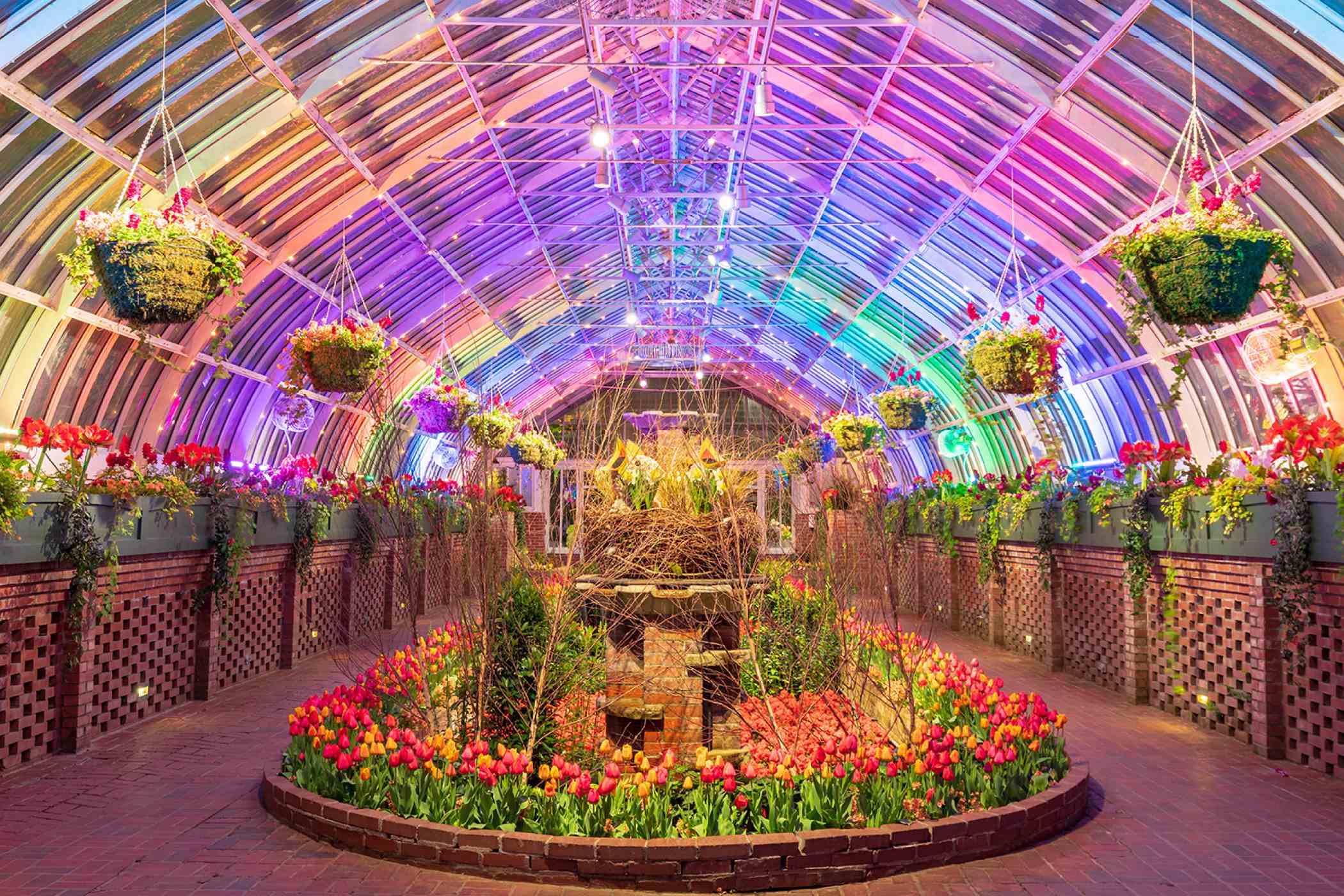 Spring Flower Show 2019: Gardens of the Rainbow | Phipps Conservatory