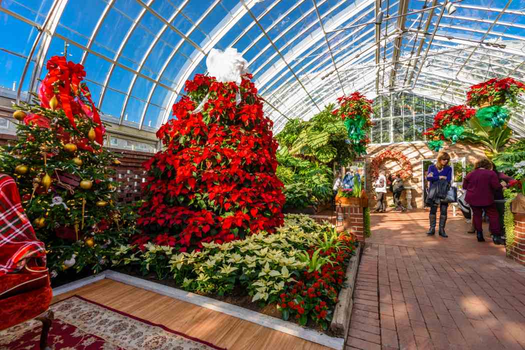 Winter Flower Show and Light Garden 2017: Holiday Magic! Winter Flower Show and Light Garden 2017: Holiday Magic!
