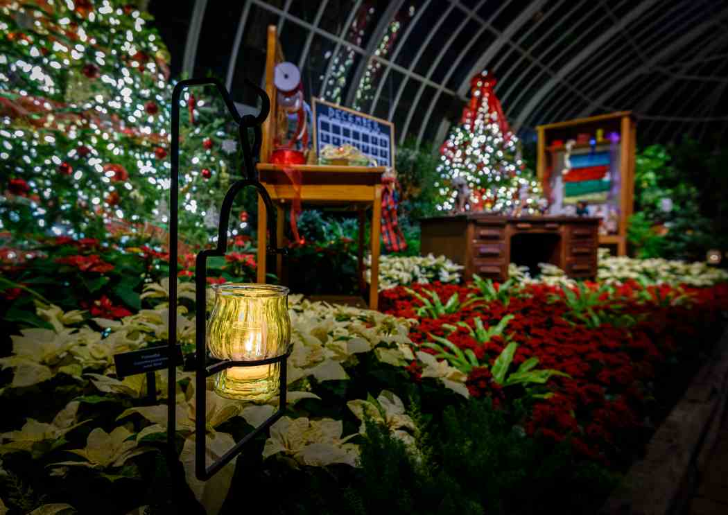 Winter Flower Show and Light Garden 2017: Holiday Magic!