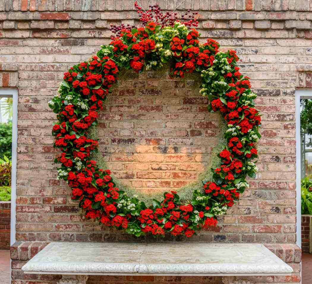 Winter Flower Show and Light Garden 2017: Holiday Magic! Winter Flower Show and Light Garden 2017: Holiday Magic!